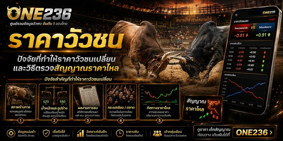 ปัจจัยที่ทำให้ ราคาวัวชน เปลี่ยน