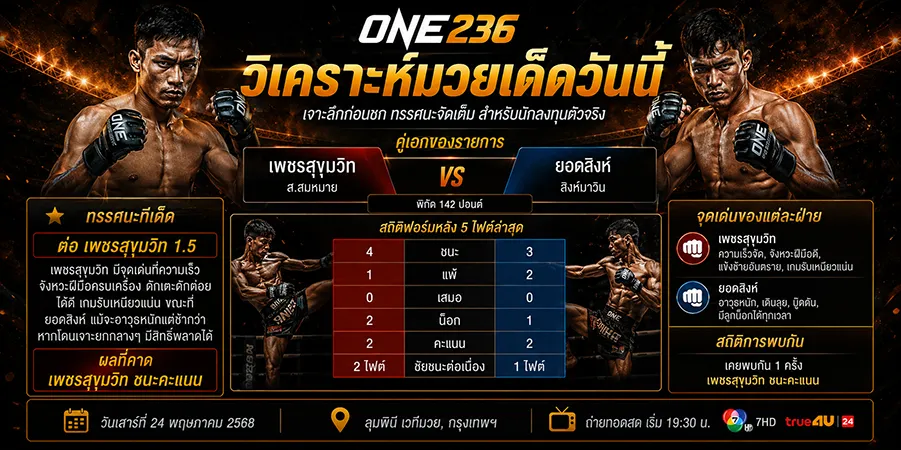 โปรแกรมมวย
