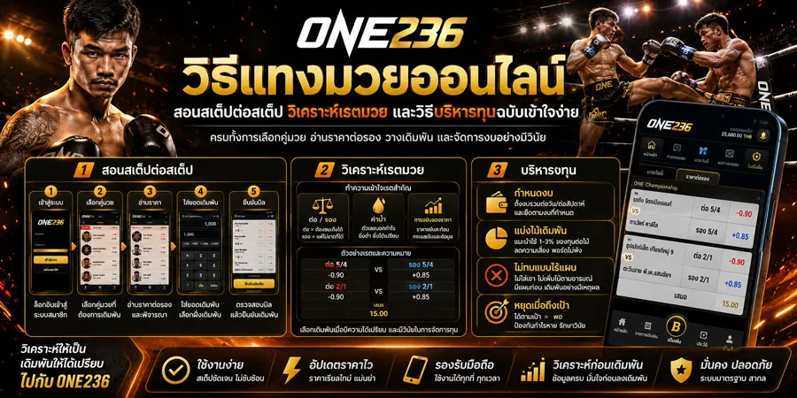 วิธีแทงมวย