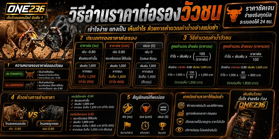 วิธีแทงวัวชน