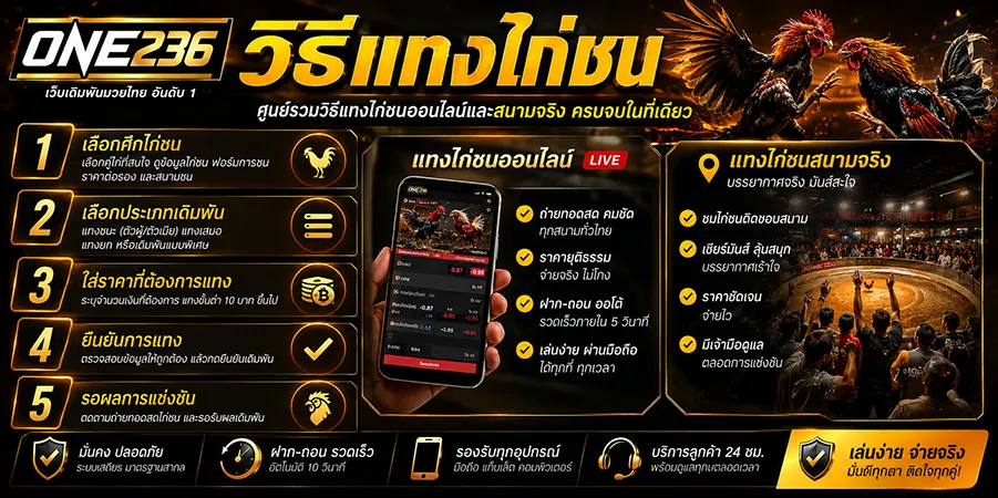 วิธีแทงไก่ชน