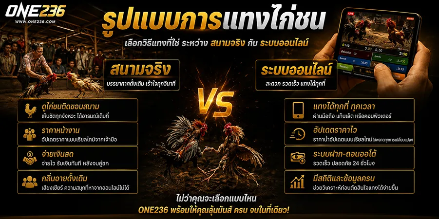 วิธีแทงไก่ชน