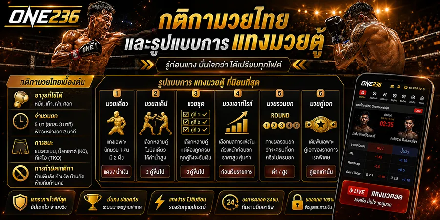 แทงมวยตู้