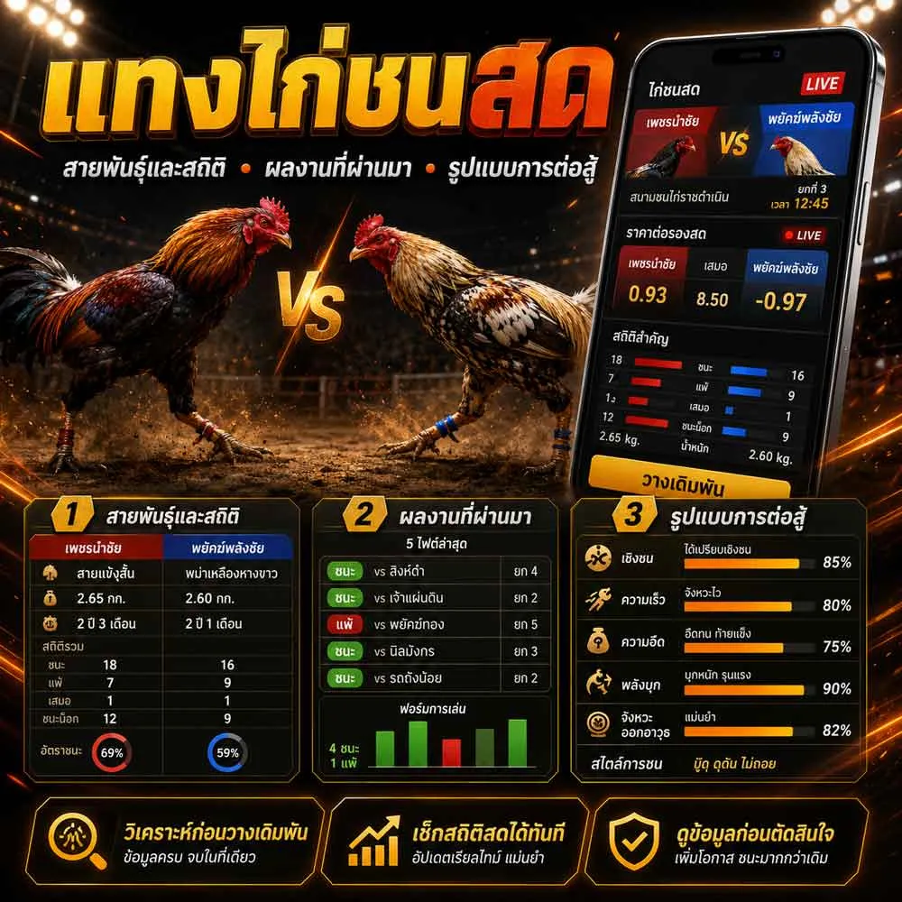 แทงไก่ชนออนไลน์