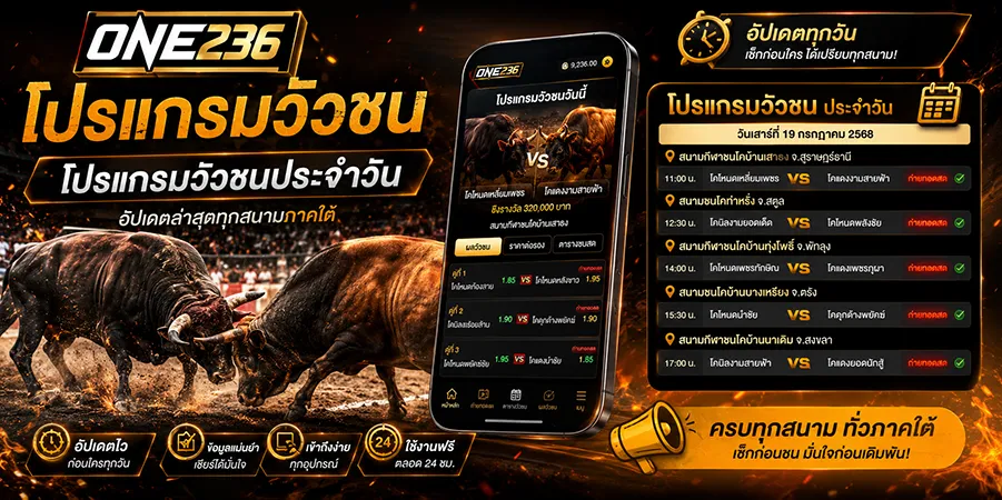 โปรแกรมวัวชน