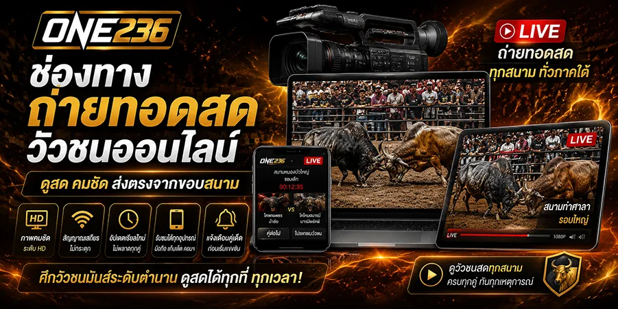 โปรแกรมวัวชน