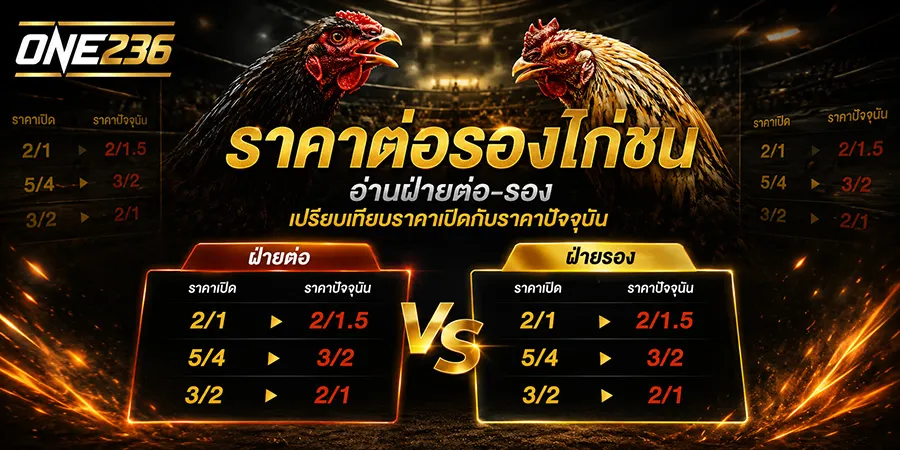 ราคาต่อรองไก่ชน ล่าสุด ดูราคาไหล