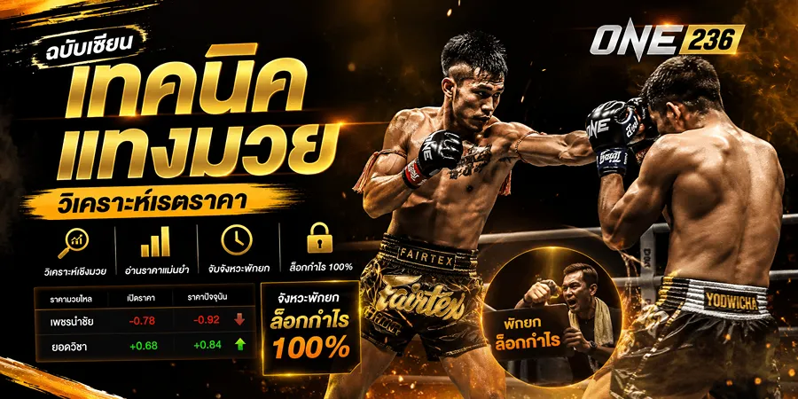 เทคนิคแทงมวย จังหวะพักยก ล็อกกำไร 100%