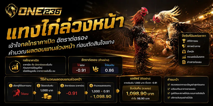 แทงไก่ล่วงหน้า กลไกราคาเปิด อัตราต่อรอง