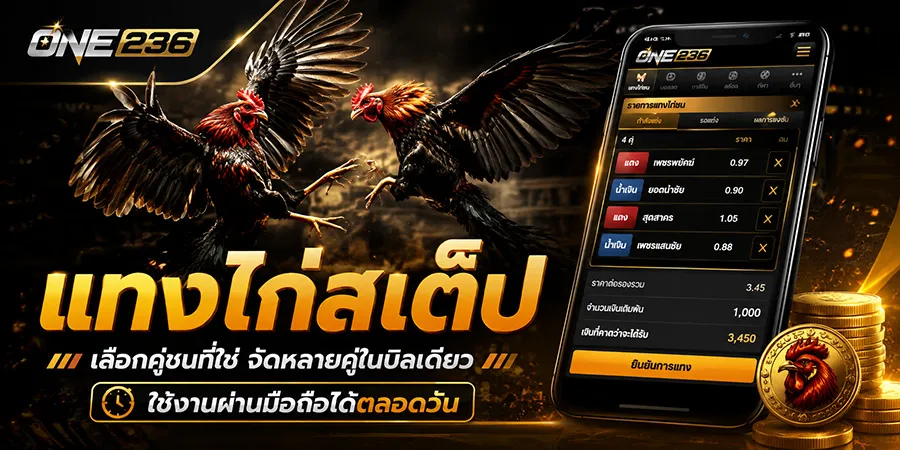 แทงไก่สเต็ป เลือกคู่ชนที่ใช่ จัดหลายคู่ในบิลเดียว