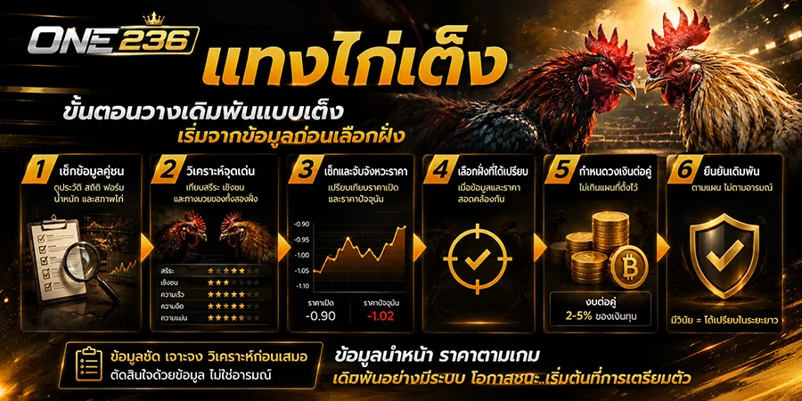 แทงไก่เต็ง 6 ขั้นตอน