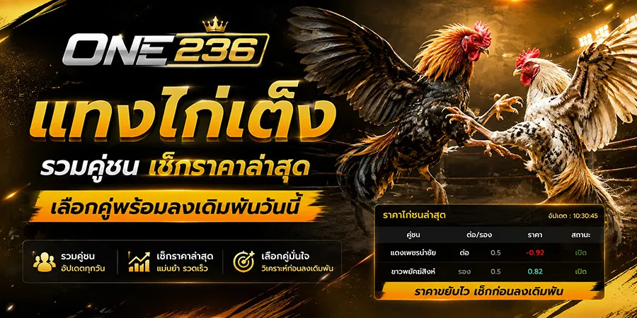 แทงไก่เต็ง ศึกเดือดราคาล่าสุด