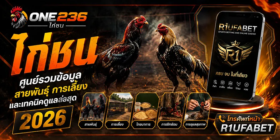 ไก่ชน ศูนย์รวมข้อมูลสายพันธุ์ การเลี้ยง