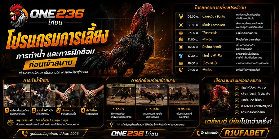 ไก่ชน โปรแกรมการเลี้ยง การทำน้ำ